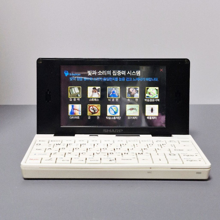 샤프 리얼딕 RD-EM600N 전자사전--6