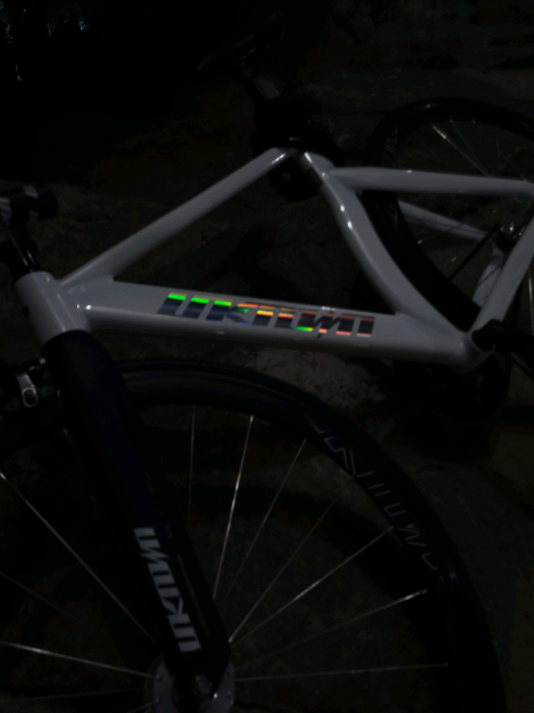 설명필독!!무하자급) 판/대 언노운 lv3 2024 렙쓰리 렙3 픽시 자전거--1