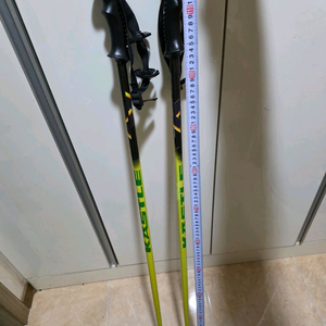 KASTLE 캐슬 스키 폴대 115cm 이미지
