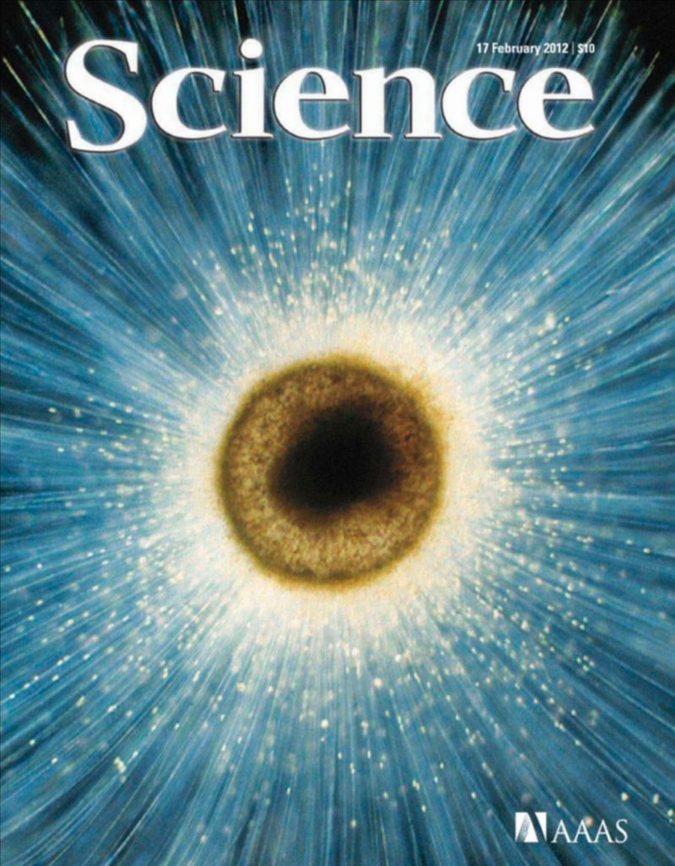 사이언스 Science 매거진 400권 (2004-2023년)--6