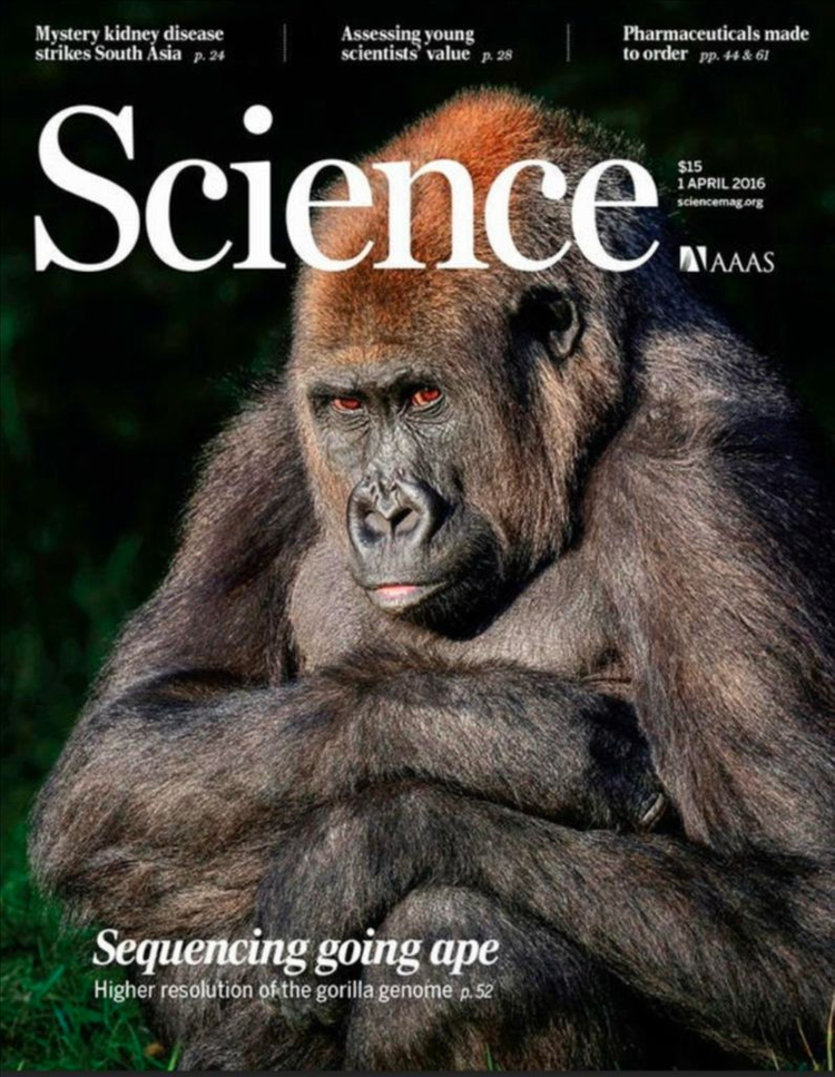 사이언스 Science 매거진 400권 (2004-2023년)--9