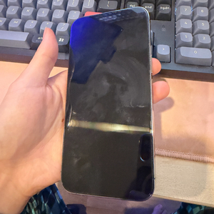 아이폰 14 pro max 퍼플 512GB