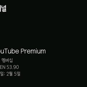 유튜브 프리미엄 페루 1년