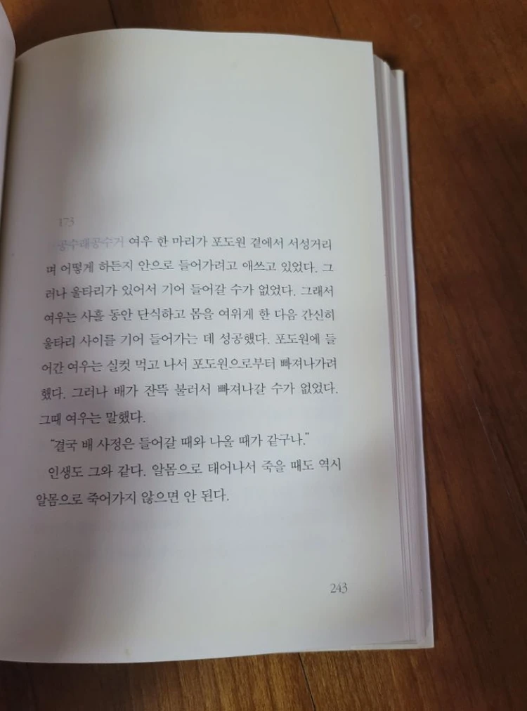 이외수 코끼리에게 날개 달아주기 이미지