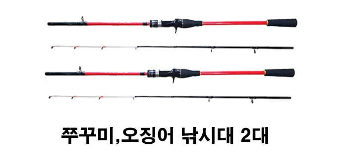 쭈꾸미 갑오징어 루어낚시대 이미지