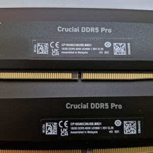 Crucial DDR5-6000 Pro CL36 32GB(16 * 2)