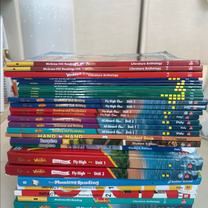 폴리 ecp7 먼쓸리 시험대비 1년과정