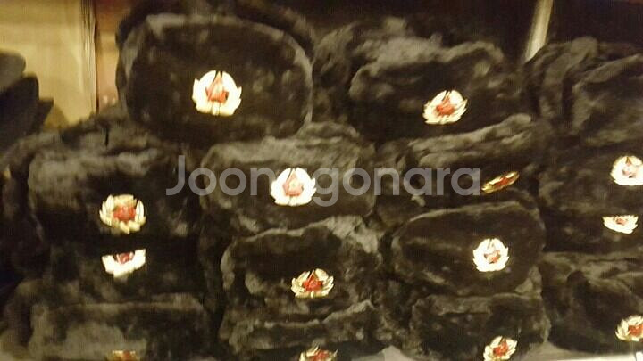 쏘련군 털모자 우샨카--1