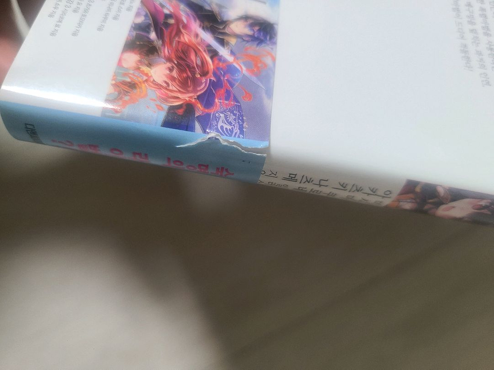 소설 이 멋진 세계에 축복을 1~17권,폭염을 1-3권, 요리미치, 저 어리석은 자에게도 각광을 1~3 (총 25)--6