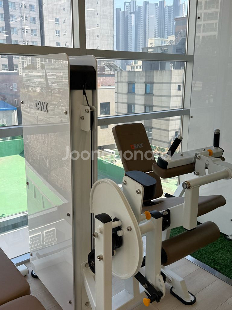 디렉스 듀얼 익스텐션 - 레그컬 (화이트 브라운)--1