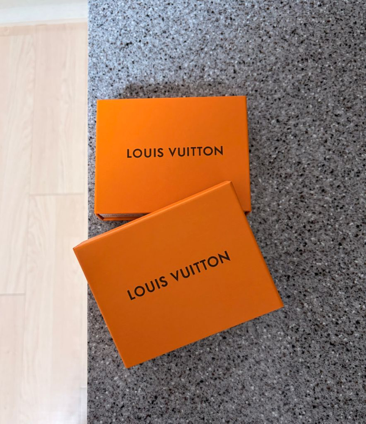 루이비통 이클립스 월릿--2