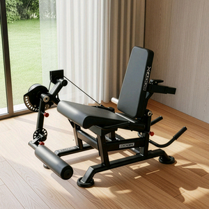 바디엑스 신투 듀얼레그머신 레그익스텐션 레그컬 힙쓰러스트