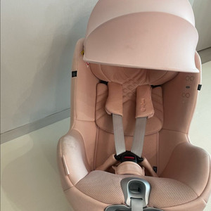 싸이벡스카시트