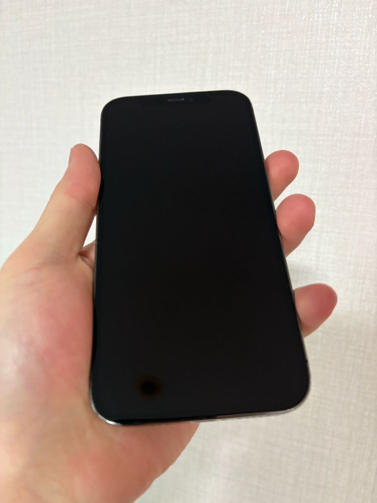 아이폰12프로 256--1