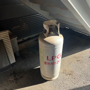 LPG 가스통 20kg 이미지