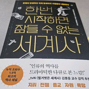 한번 시작하면 잠들 수 없는 세계사