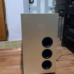 AUDINN 액티브 우퍼스피커 SM 210