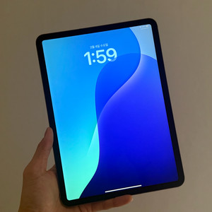 아이패드 프로 2세대 11인치 셀룰러 256G 스그 단품