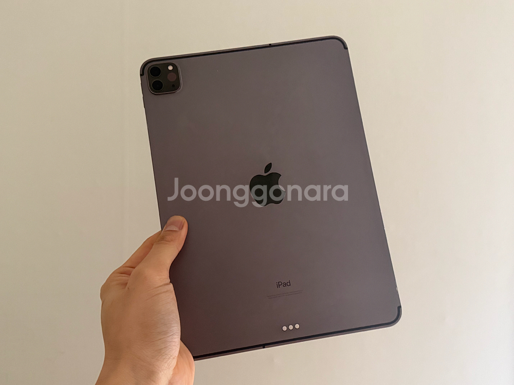 아이패드 프로 2세대 11인치 셀룰러 256G 스그 단품--2