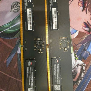 KLEVV DDR5 16GB 5600MHz 램