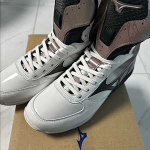 미즈노 웨이브몬스터 255