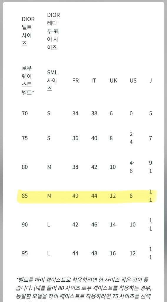 정품 디올 새들 벨트 85사이즈 여성용 이미지