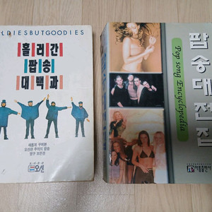 1991년 팝송책