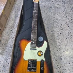 사이어 T3 텔레캐스터 일렉기타 판매