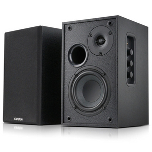 캔스톤 R770BT 블루투스 북쉘프 스피커