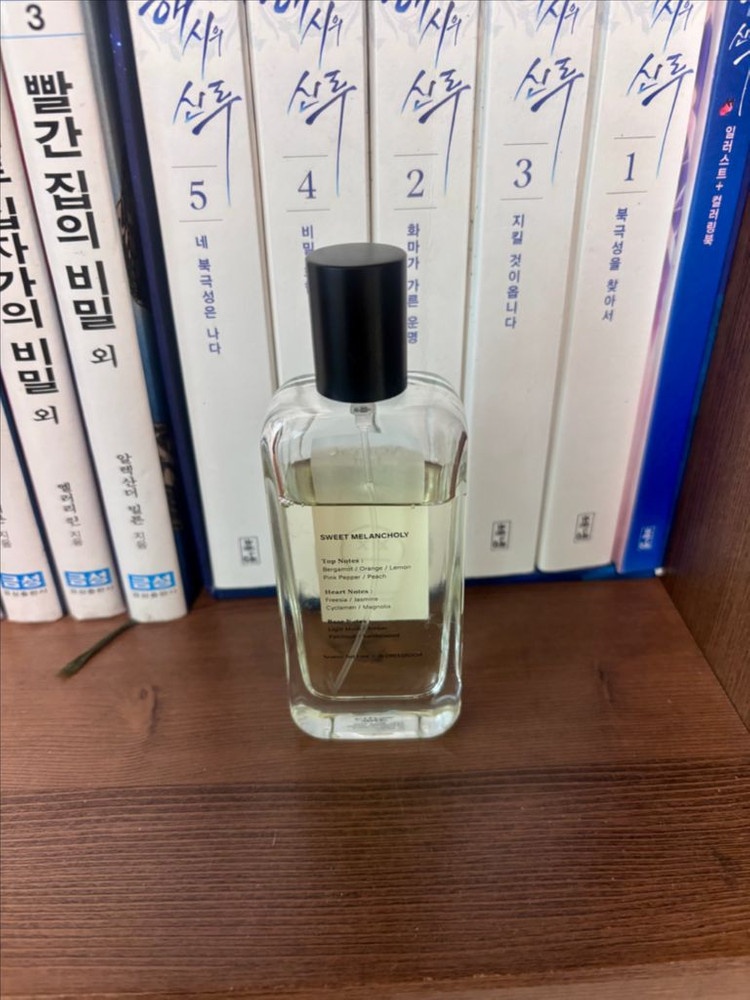 Learest but lost 멜랑꼴리 향수--1