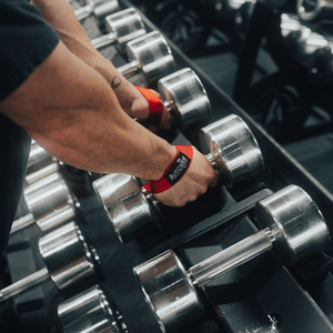 Butcher Hooks 부처 훅 리프팅 스트랩 오리지널 레드 S사이즈