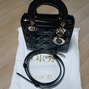 디올 레이디백 페이던트 스몰 - 22년