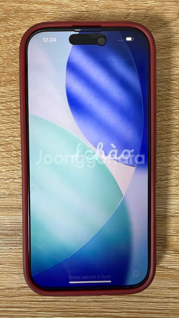 아이폰 16 프로--10