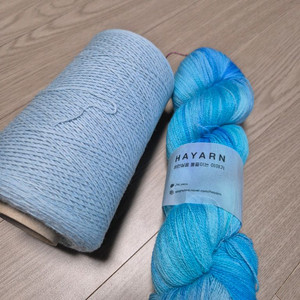 손염색실과 뉴보름