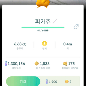 포켓몬고 평창로케배경 이로치 피카츄 이미지