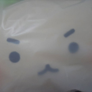 올리브영 미개봉 망곰 망그러진 곰 쿠션 담요