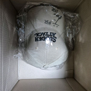 이주은 싸인모자