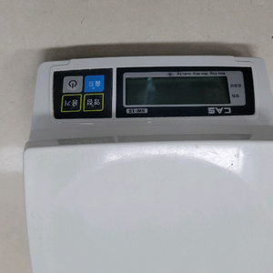 카스저울 sw-05
