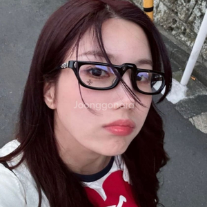 크롬하츠 ed-u-cuntation 블랙/실버 안경