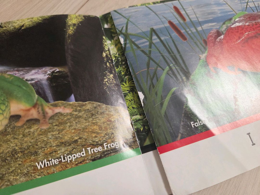 렛츠런 파인드아웃 원서+동영상프로그램1년이용권--4