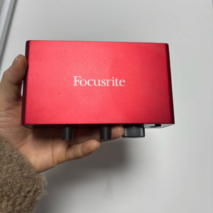 포커스라이트 스칼렛 솔로 3세개