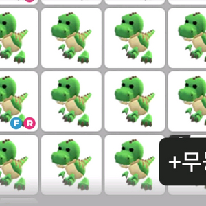 입양하세요 티렉스 판매 이미지