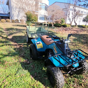 효성 스즈키LT160 ATV 사발이