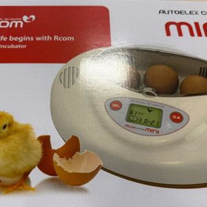 알콤미니부화기