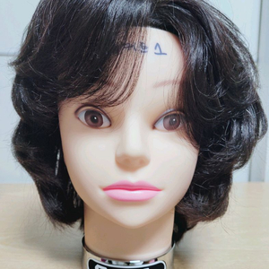 삼미 통가발- 레이어