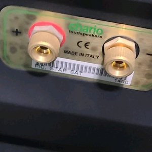 Chario star sat 명품스피커 팝니다