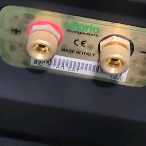 Chario star sat 명품스피커 팝니다