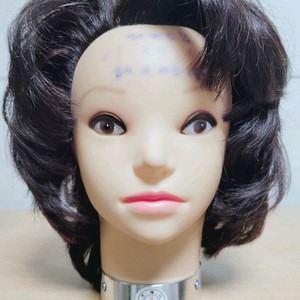 천혜사 통가발- 레이어