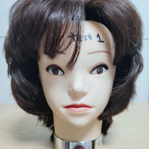 천혜사 레드라벨 통가발- 레이어