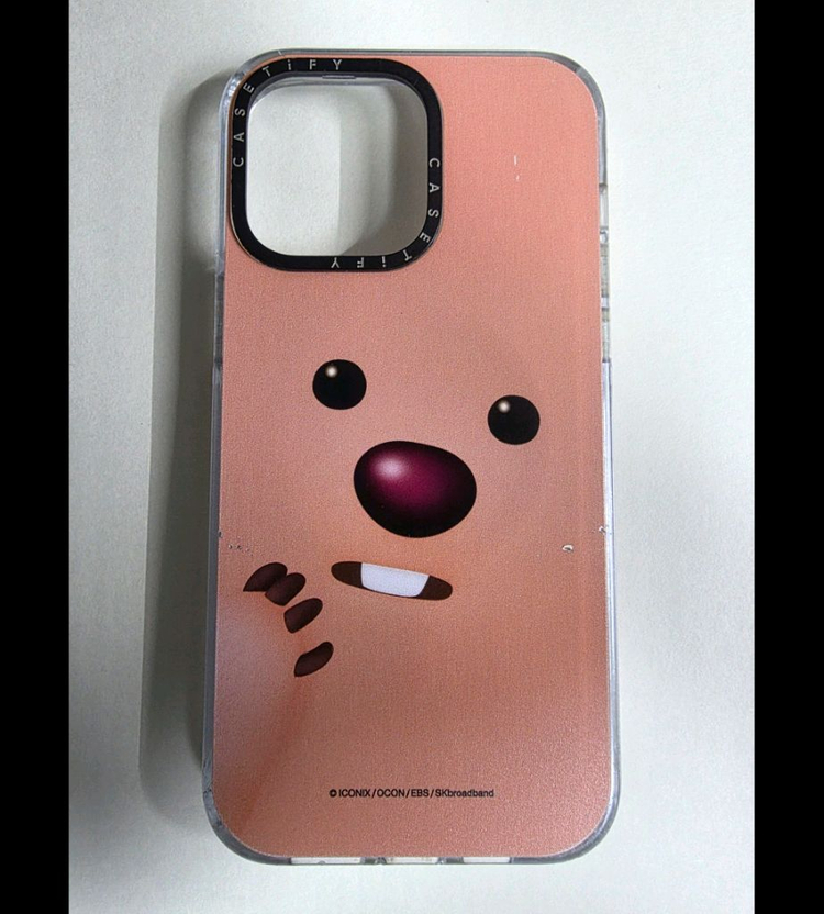 아이폰 14 프로맥스 정품 케이스티파이 케이스 5종--6